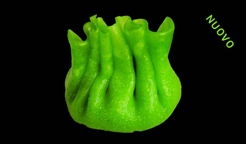 Ravioli Vegetariana