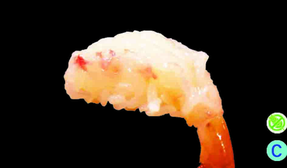 Nigiri amaebi NO GLUTINE