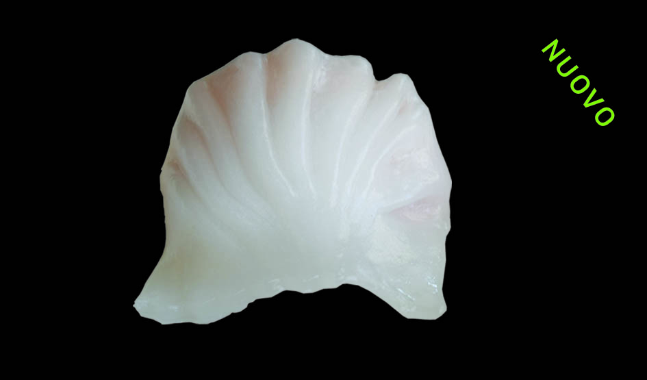 Ravioli di Gamberi