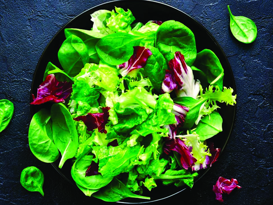Insalata