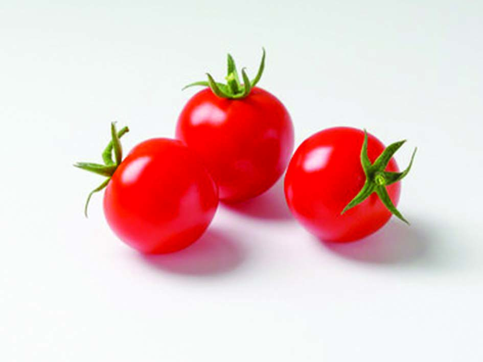 Pomodorini