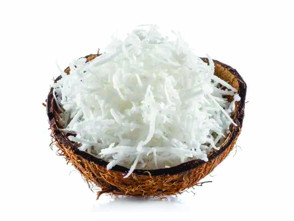 Cocco